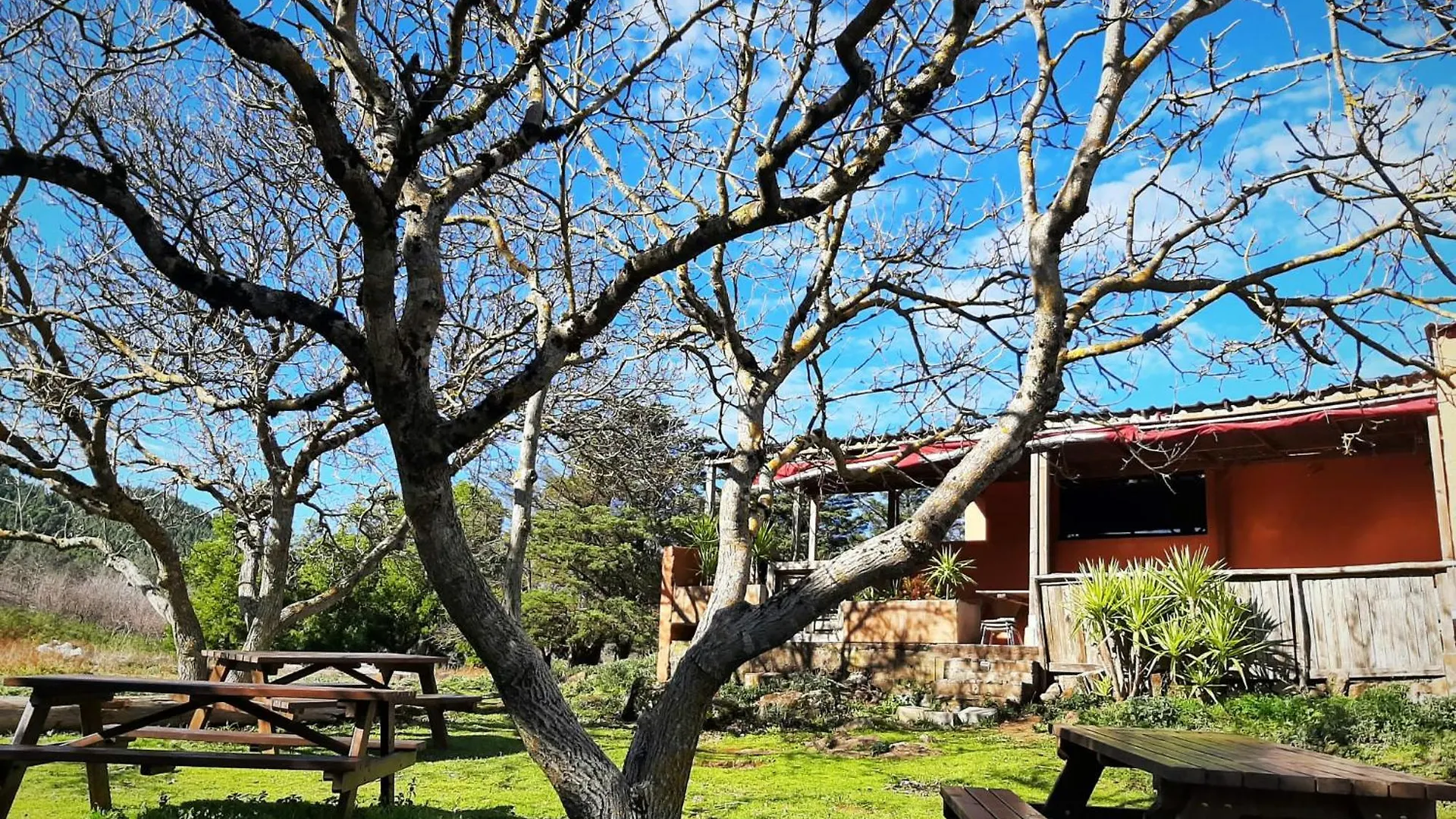 Daire Nice Country House Villa Paz La Esperanza